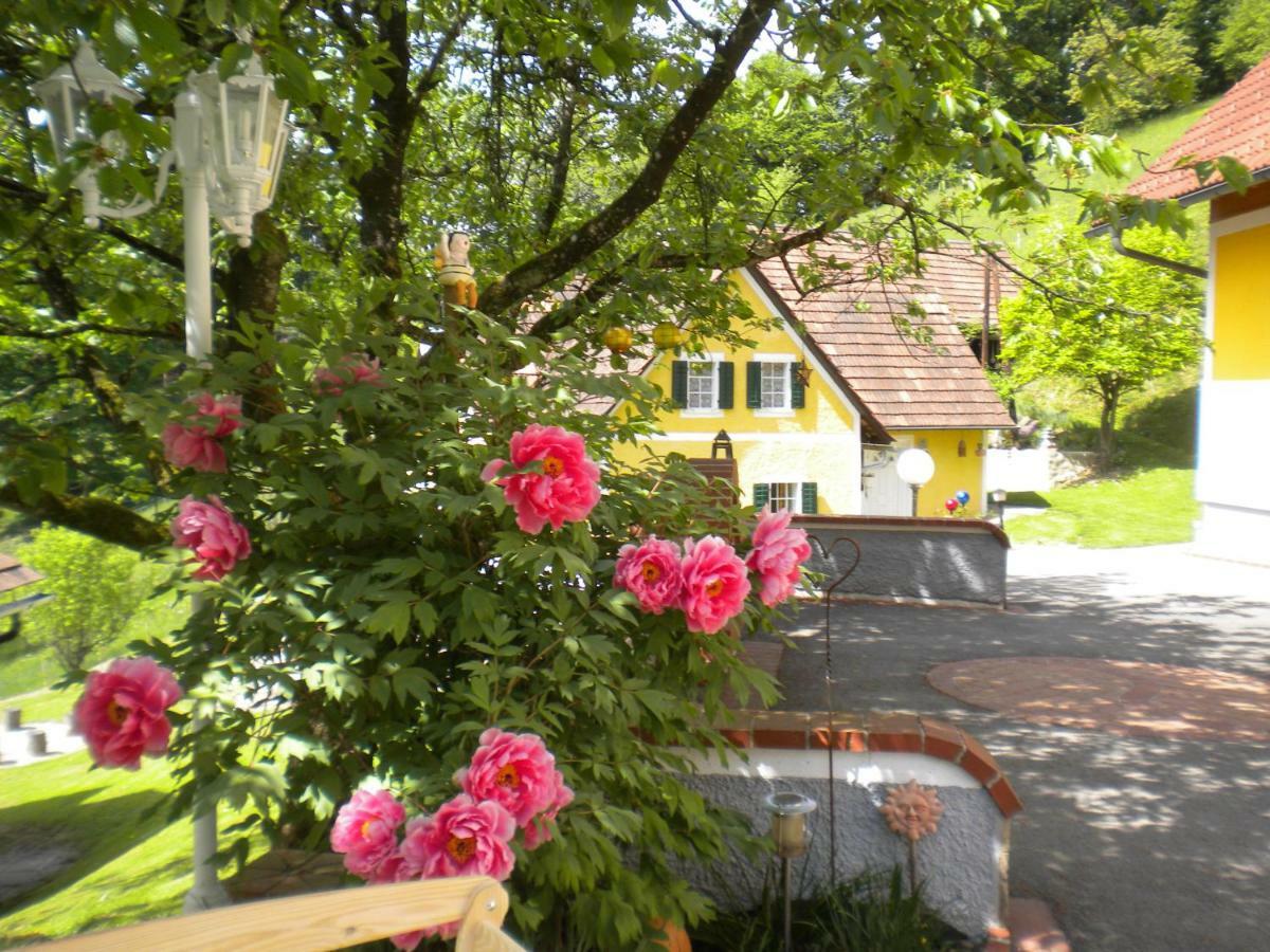 Schwarzautal Buchschneider - Ferienhaus Maier - Landhof מראה חיצוני תמונה