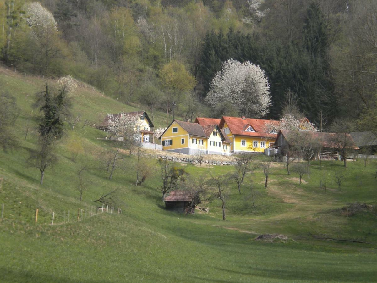 Schwarzautal Buchschneider - Ferienhaus Maier - Landhof מראה חיצוני תמונה