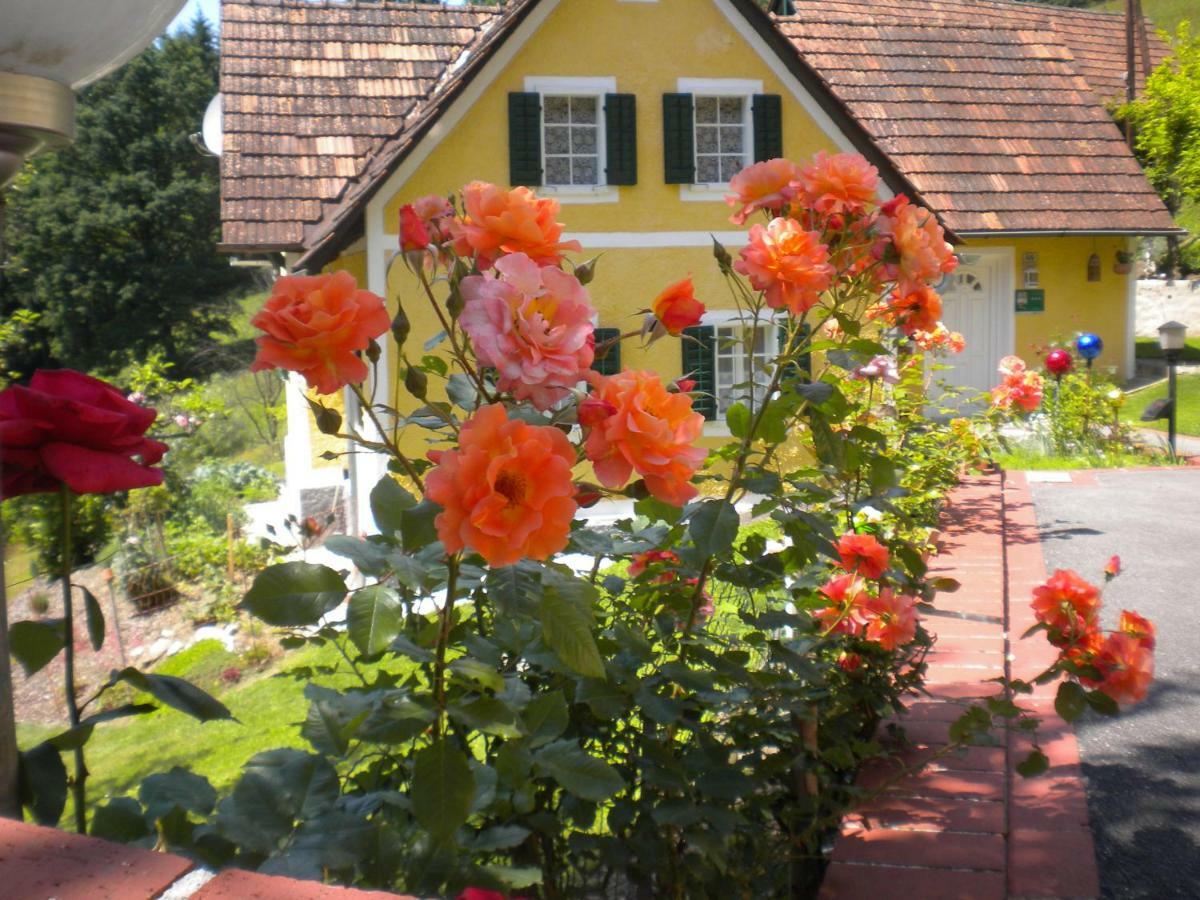 Schwarzautal Buchschneider - Ferienhaus Maier - Landhof מראה חיצוני תמונה