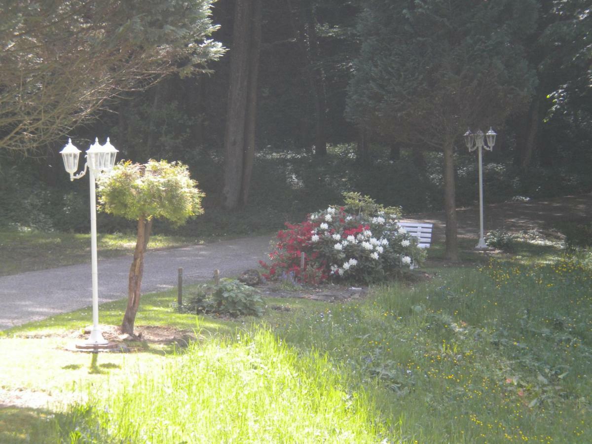 Schwarzautal Buchschneider - Ferienhaus Maier - Landhof מראה חיצוני תמונה